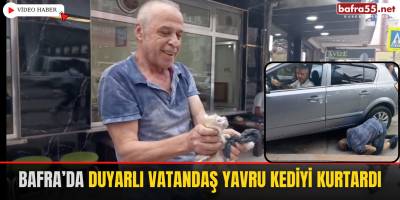 Bafra’da Duyarlı Vatandaş Yavru Kediyi Kurtardı