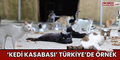 ‘Kedi Kasabası’ Türkiye’de örnek