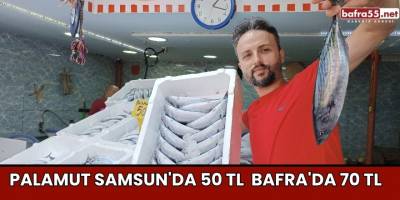 Palamut Samsun'da 50 TL  Bafra'da 70 TL