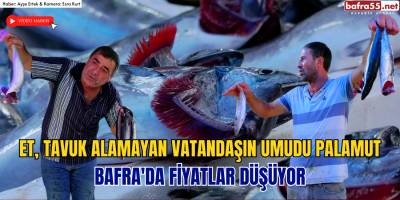 Et, Tavuk Alamayan Vatandaşın Umudu Palamut Bafra'da Fiyatlar Düşüyor