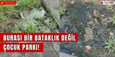 Burası Bataklık Değil Bir Çocuk Parkı