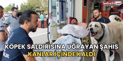 KÖPEK SALDIRISINA UĞRAYAN ŞAHIS KANLAR İÇİNDE KALDI