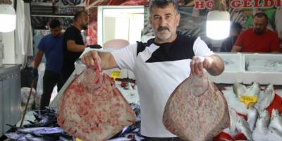 Balıkçı tezgahları renklendi