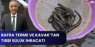 Bafra Terme ve Kavak’tan tıbbi sülük ihracatı