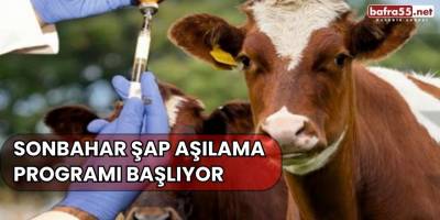 Sonbahar şap aşılama programı başlıyor