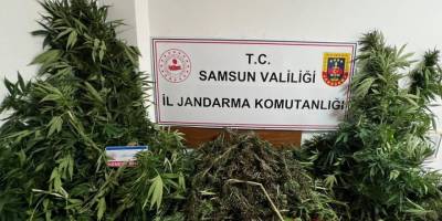 Jandarma 7 kilo esrar ele geçirdi