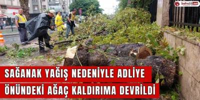 Sağanak Yağış Nedeniyle Adliye Önündeki Ağaç Kaldırıma Devrildi