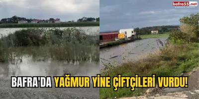 BAFRA'DA YAĞMUR YİNE ÇİFTÇİLERİ VURDU!