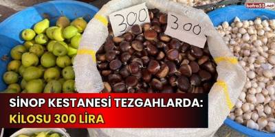 Sinop kestanesi tezgahlarda: Kilosu 300 lira