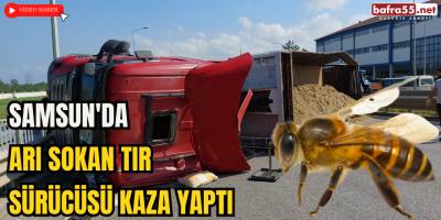 Samsun'da Arı Sokan Tır Sürücüsü Kaza Yaptı