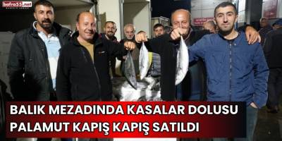 Balık mezadında kasalar dolusu palamut kapış kapış satıldı