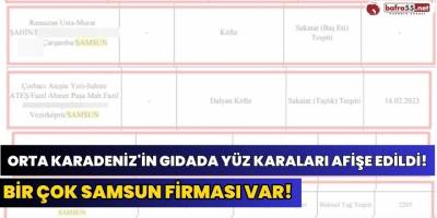 Orta Karadeniz'in gıdada yüz Karaları Afişe Edildi!
