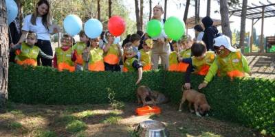 'Pati Şenliği'nde can dostlar ilgi odağı oldu