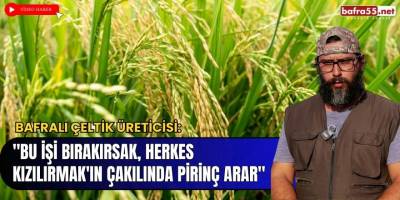 Bafralı Çeltik Üreticisi: "Bu İşi Bırakırsak, Herkes Kızılırmak'ın Çakılında Pirinç Arar"