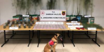 Samsun'da Jandarmadan Uyuşturucu Operasyonu: 1 Gözaltı