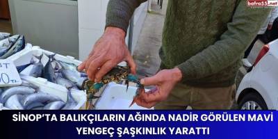 Sinop’ta Balıkçıların Ağında Nadir Görülen Mavi Yengeç Şaşkınlık Yarattı