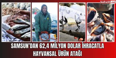 Samsun’dan 62,4 Milyon Dolar İhracatla Hayvansal Ürün Atağı