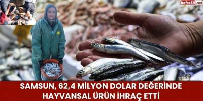 Samsun, 62,4 Milyon Dolar Değerinde Hayvansal Ürün İhraç Etti