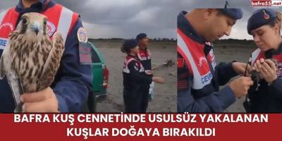 Bafra Kuş Cennetinde Usulsüz Yakalanan Kuşlar Doğaya Bırakıldı