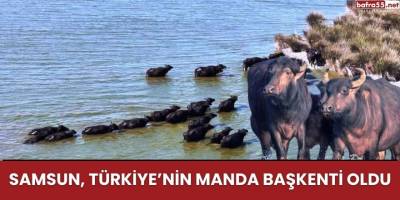 Samsun, Türkiye’nin Manda Başkenti Oldu
