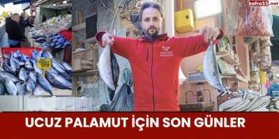 Ucuz Palamut İçin Son Günler