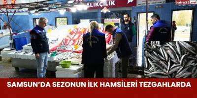 Samsun’da Sezonun İlk Hamsileri Tezgahlarda