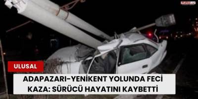 Adapazarı-Yenikent Yolunda Feci Kaza: Sürücü Hayatını Kaybetti