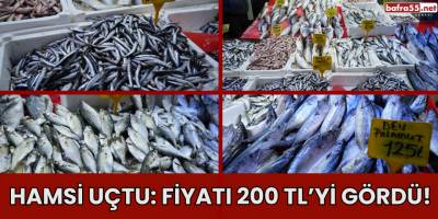 Hamsi Uçtu: Fiyatı 200 TL’yi Gördü!