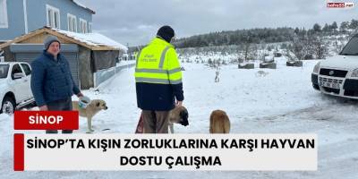 Sinop’ta Kışın Zorluklarına Karşı Hayvan Dostu Çalışma
