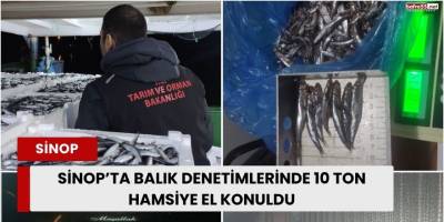 Sinop’ta Balık Denetimlerinde 10 Ton Hamsiye El Konuldu