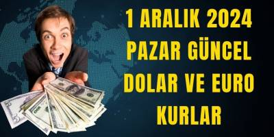 1 Aralık 2024 Pazar Güncel Dolar ve Euro Kurlar
