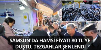 Samsun'da Hamsi Fiyatı 80 TL'ye Düştü, Tezgahlar Şenlendi
