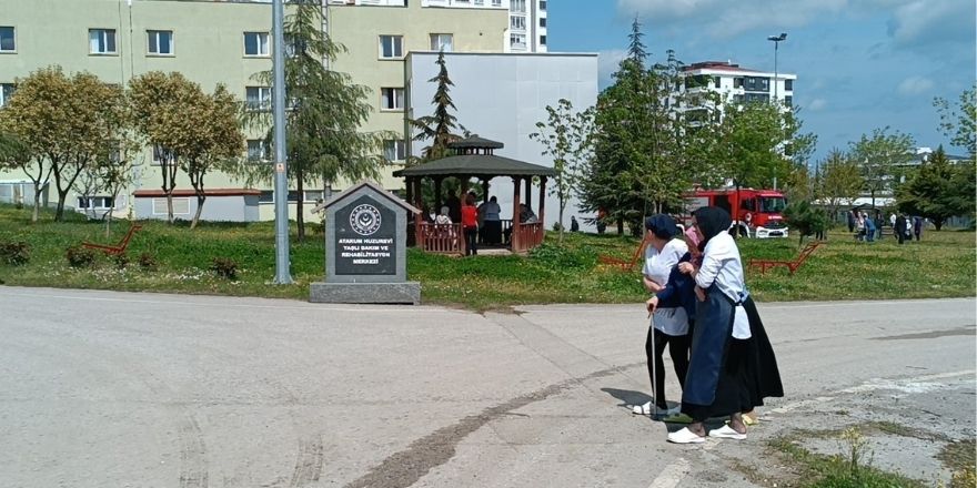10-135.jpg
