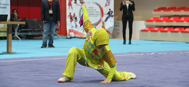 19-mayis-uluslararasi-wushu-kung-fu-sampiyonasi3.jpg