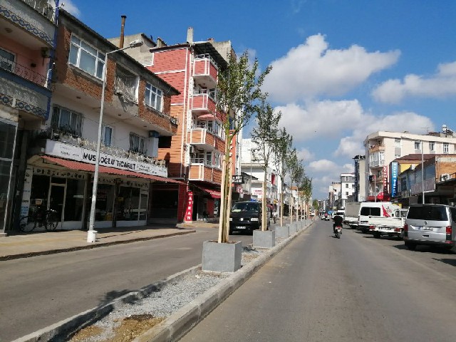 Alaçam Caddesi Yeşilleniyor