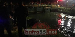 Bafra'da Kanala Düşen Boğa Kurtarıldı