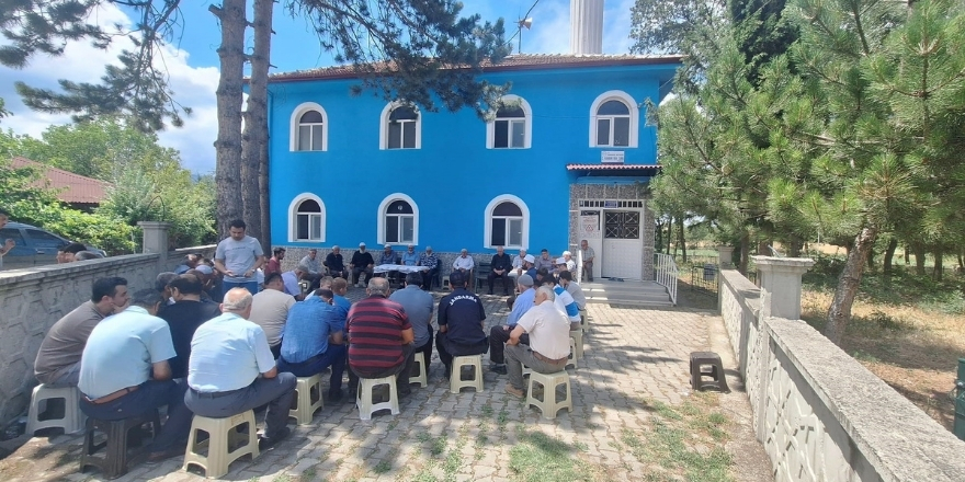 25-008.jpg
