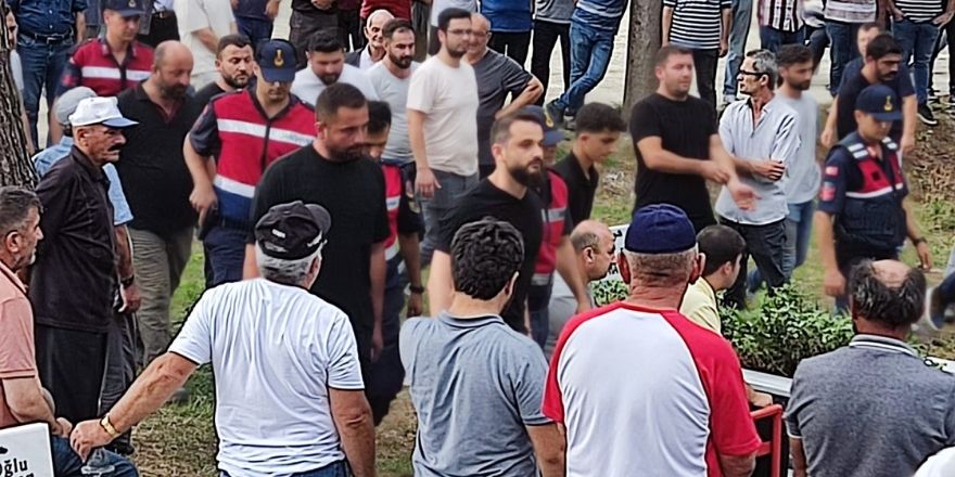 29-062.jpg