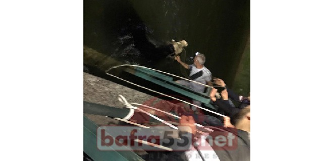 Bafra'da Kanala Düşen Boğa Kurtarıldı