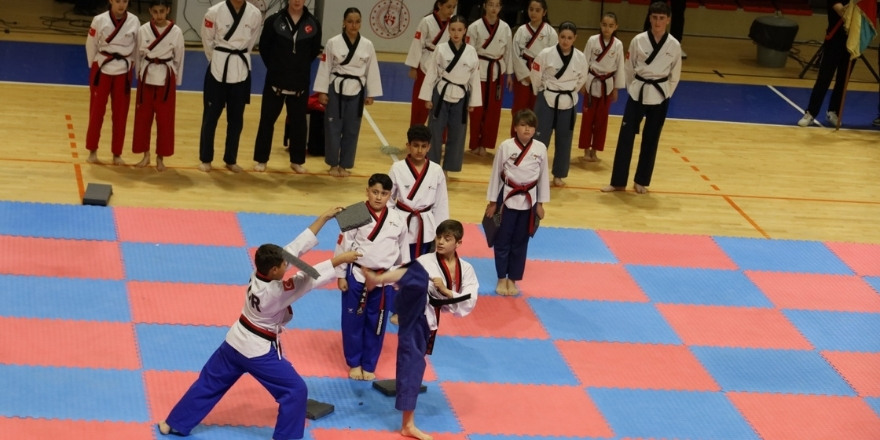 50-037.jpg
