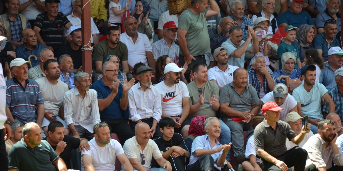 59-dikmen-guresleri-004.jpg