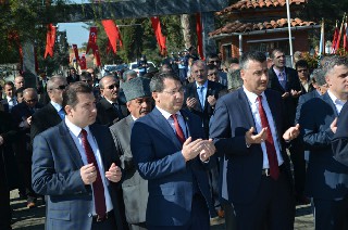 acar.jpg
