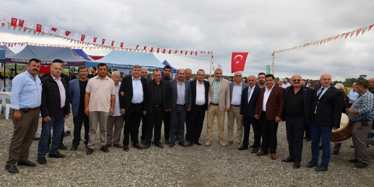 alacam-celtik-hasadi-012.jpg