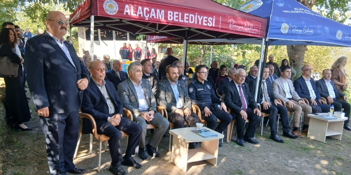 alacam-zeytin-uretimi.jpg