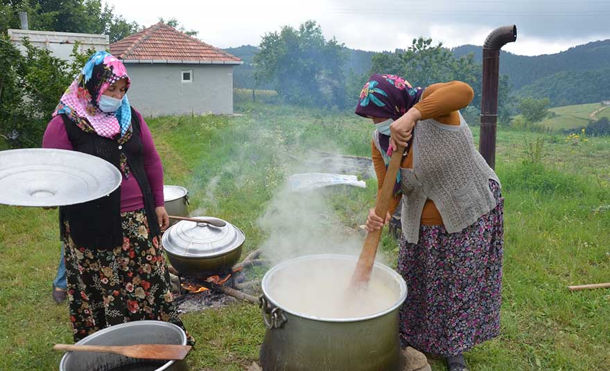 alacamda-durtmen-yaylasi-cilek-hasat-etkinligi-3.jpg