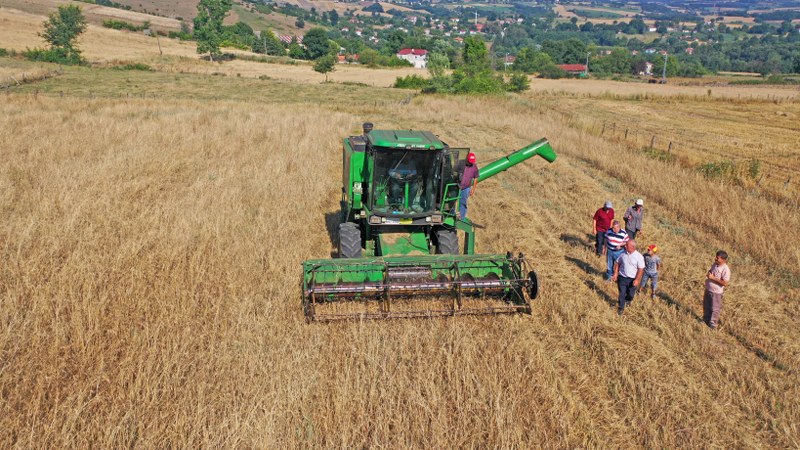 ata-tohum-karakilcik-bugdayi-hasat-9-800x450.jpg