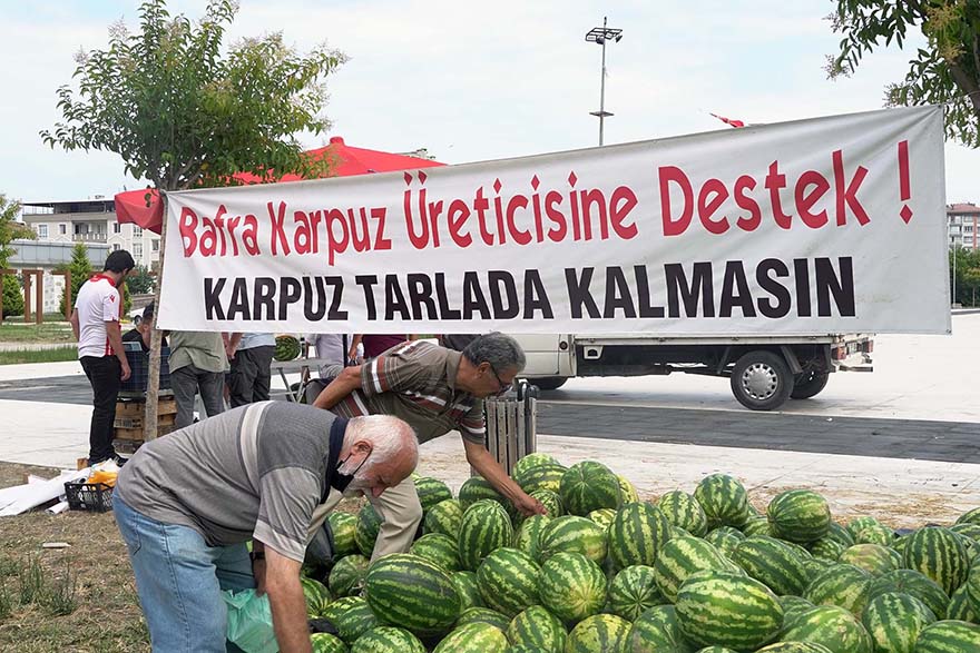 atakum-belediyesinden-bafra-ciftcisine-karpuz-destegi-1.jpg