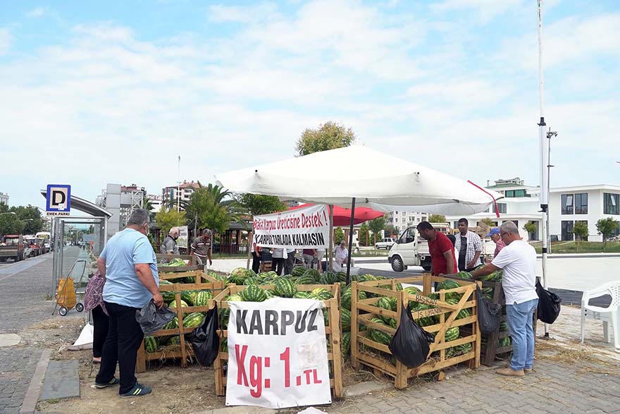 atakum-belediyesinden-bafra-ciftcisine-karpuz-destegi-2.jpg