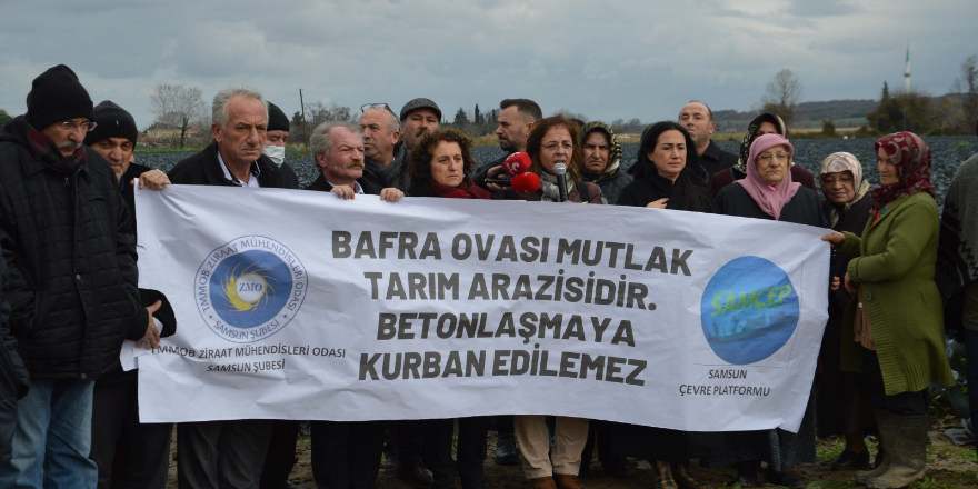 bafra-ovasi-mutlak-tarim-arazisidir-betonlasmaya-kurban-edilemez-029.png