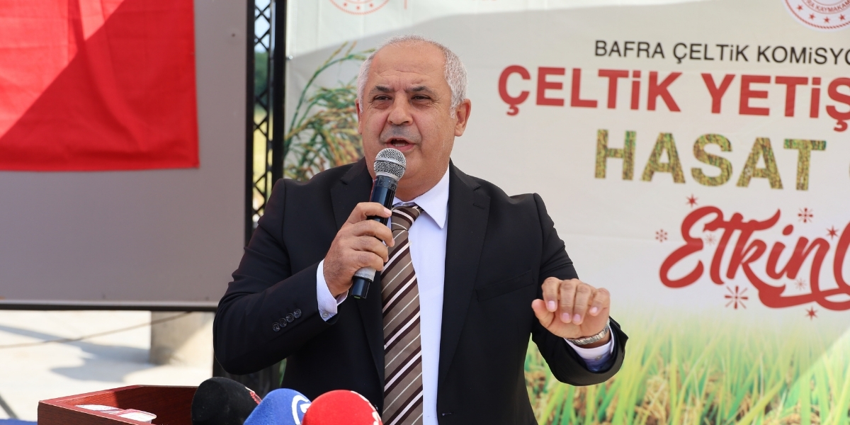 bafra-ovasinda-celtik-hasadi-015.jpg